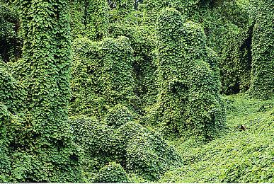 《星之卡比Wii豪华版》预告片 2023年2月24日发售